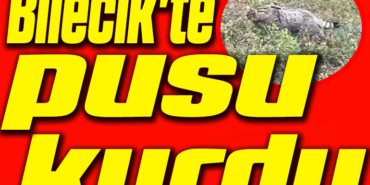 oooooooooooo