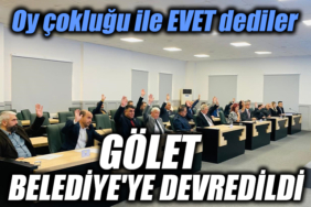 oy çokluğu