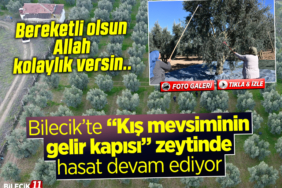 zeytin