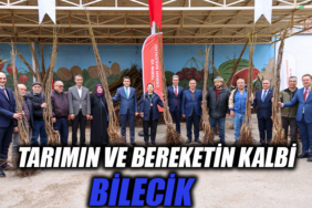 34R34R43R
