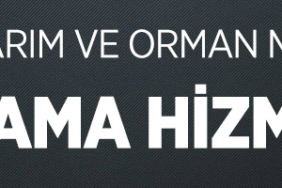 ARAÇ KİRALAMA