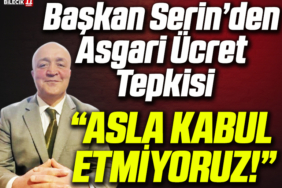 DEVRİM sWERİN