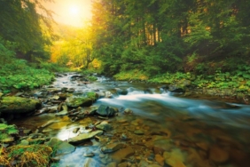 mountain river. misty morning