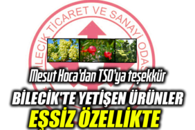 RGERGERGEGR