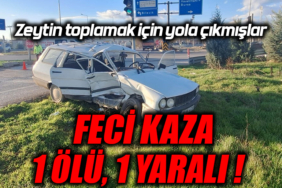 Y4Y45Y45
