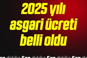 2025 yılı asgari ücreti belli oldu