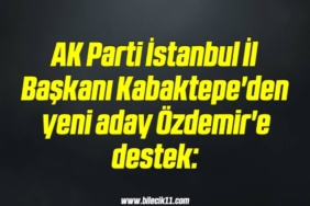 bilecik-haber_ak-parti-istanbul-il-baskani-kabaktepe-den-yeni-aday-ozdemir-e-destek-16-16.jpg
