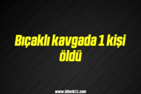 bilecik-haber_bicakli-kavgada-1-kisi-oldu-2-2.jpg