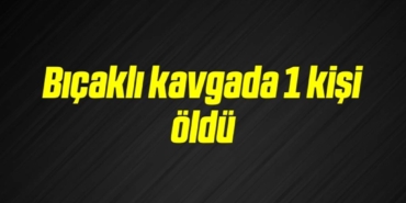 bilecik-haber_bicakli-kavgada-1-kisi-oldu-2-2.jpg