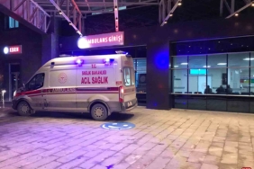 Bilecik'te bariyerlere çarpan otomobilde 2 kişi yaralandı