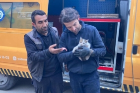 bilecik-haber_bursa-da-park-halindeki-aracin-motor-bolumune-sikisan-kedi-kurtarildi-48444.jpg