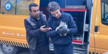 bilecik-haber_bursa-da-park-halindeki-aracin-motor-bolumune-sikisan-kedi-kurtarildi-48444.jpg
