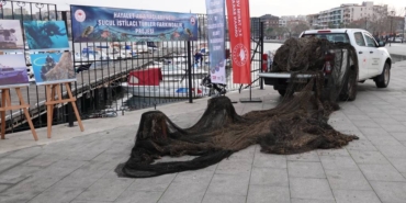bilecik-haber_canakkale-de-500-bin-metrekare-alan-hayalet-aglardan-temizlendi-49948.jpg