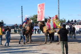 bilecik-haber_canakkale-de-pehlivan-develer-arenaya-cikti-51820.jpg