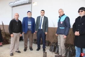 Çiftçilere ceviz ve badem fidanı dağıtıldı