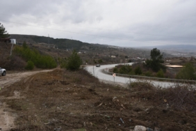 Çınarlar toprakla buluştu