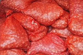 bilecik-haber_edirne-de-kum-midyesi-kacakciligi-yapan-46-kisiye-11-milyon-991-bin-lira-para-cezasi-53429.jpg