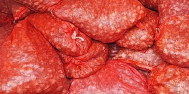 bilecik-haber_edirne-de-kum-midyesi-kacakciligi-yapan-46-kisiye-11-milyon-991-bin-lira-para-cezasi-53429.jpg