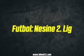 bilecik-haber_futbol-nesine-2-lig-13-13.jpg