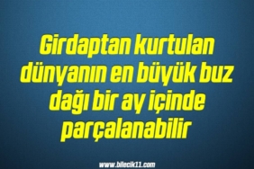 bilecik-haber_girdaptan-kurtulan-dunyanin-en-buyuk-buz-dagi-bir-ay-icinde-parcalanabilir-19-19.jpg