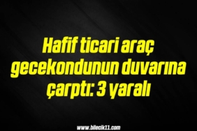 bilecik-haber_hafif-ticari-arac-gecekondunun-duvarina-carpti-3-yarali-14-14.jpg