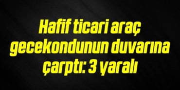 bilecik-haber_hafif-ticari-arac-gecekondunun-duvarina-carpti-3-yarali-14-14.jpg