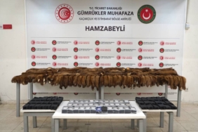 bilecik-haber_hamzabeyli-sinir-kapisi-nda-155-samur-postu-ve-239-akilli-cep-telefonu-ele-gecirildi-52612.jpg