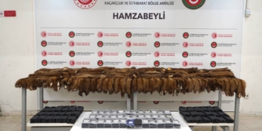 bilecik-haber_hamzabeyli-sinir-kapisi-nda-155-samur-postu-ve-239-akilli-cep-telefonu-ele-gecirildi-52612.jpg