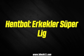 bilecik-haber_hentbol-erkekler-super-lig-15-15.jpg