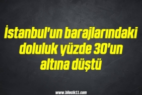 bilecik-haber_istanbul-un-barajlarindaki-doluluk-yuzde-30-un-altina-dustu-18-18.jpg
