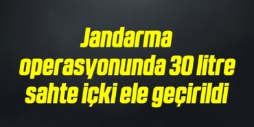 bilecik-haber_jandarma-operasyonunda-30-litre-sahte-icki-ele-gecirildi-10-10.jpg
