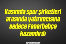 bilecik-haber_kasimda-spor-sirketleri-arasinda-yatirimcisina-sadece-fenerbahce-kazandirdi-11-11.jpg