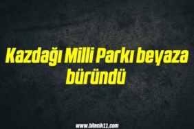 bilecik-haber_kazdagi-milli-parki-beyaza-burundu-4-4.jpg