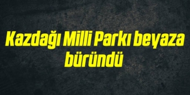 bilecik-haber_kazdagi-milli-parki-beyaza-burundu-4-4.jpg