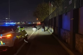 bilecik-haber_kocaeli-de-seyir-halindeki-kamyondan-cikan-tekerlegin-carptigi-kisi-yaralandi-50954.jpg