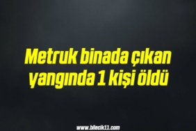 bilecik-haber_metruk-binada-cikan-yanginda-1-kisi-oldu-3-3.jpg