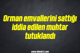 bilecik-haber_orman-emvallerini-sattigi-iddia-edilen-muhtar-tutuklandi-11-11.jpg