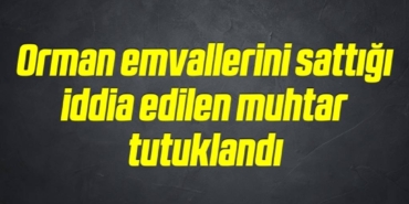 bilecik-haber_orman-emvallerini-sattigi-iddia-edilen-muhtar-tutuklandi-11-11.jpg