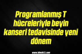 bilecik-haber_programlanmis-t-hucreleriyle-beyin-kanseri-tedavisinde-yeni-donem-2-2.jpg