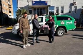 bilecik-haber_sakarya-da-kacak-avlanan-kisiye-48-bin-250-lira-ceza-kesildi-51586.jpg