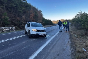bilecik-haber_sakarya-da-otomobil-ile-cipin-carpistigi-kazada-2-kisi-yaralandi-50979.jpg