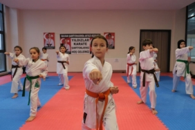 bilecik-haber_sakatlandigi-kick-boksu-birakip-karateye-baslayan-feyza-milli-formanin-pesinde-48165.jpg