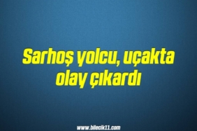 bilecik-haber_sarhos-yolcu-ucakta-olay-cikardi-9-9.jpg
