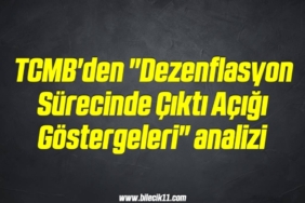 bilecik-haber_tcmb-den-dezenflasyon-surecinde-cikti-acigi-gostergeleri-analizi-19-19.jpg