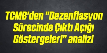 bilecik-haber_tcmb-den-dezenflasyon-surecinde-cikti-acigi-gostergeleri-analizi-19-19.jpg