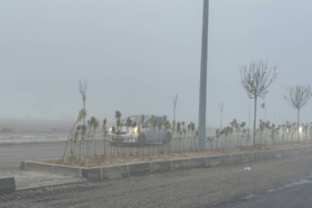 bilecik-haber_tekirdag-da-sis-etkili-oldu-50956.jpg
