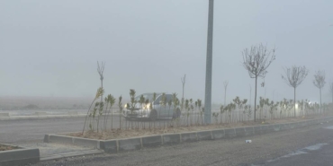 bilecik-haber_tekirdag-da-sis-etkili-oldu-50956.jpg