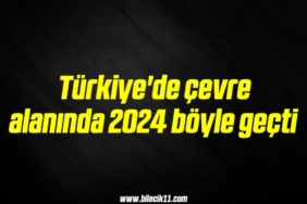 bilecik-haber_turkiye-de-cevre-alaninda-2024-boyle-gecti-1-1.jpg