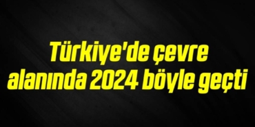 bilecik-haber_turkiye-de-cevre-alaninda-2024-boyle-gecti-1-1.jpg