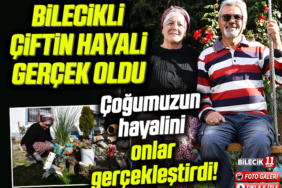 hayall